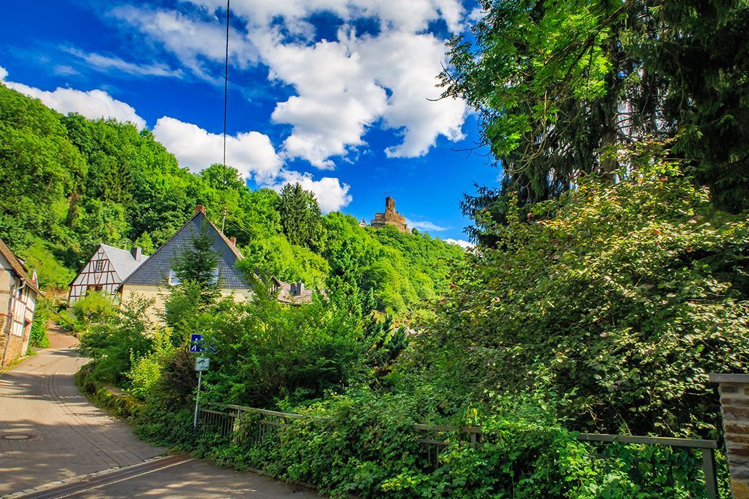 Pension "Haus Am Walde" Brodenbach, Mosel Esterno foto